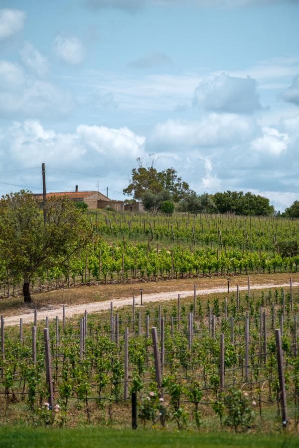 Villa La Vinia Bed&Wine Experience Sassari Esterno foto